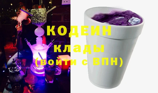 индика Арсеньев