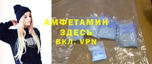 индика Арсеньев