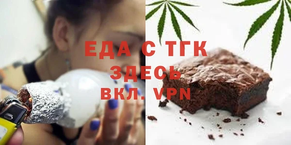 индика Арсеньев