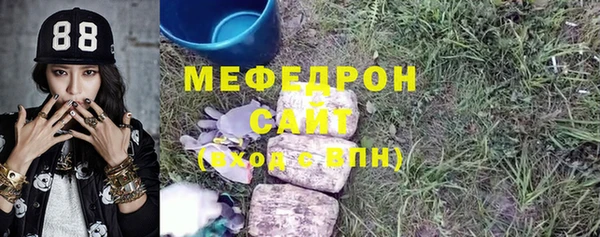 индика Арсеньев