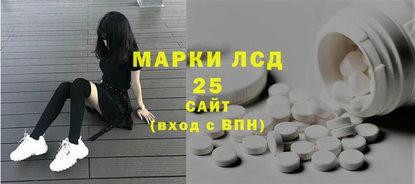 индика Арсеньев