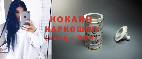 индика Арсеньев