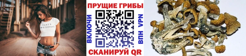 Купить  Бикин  Псилоцибиновые грибы ЛСД 